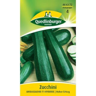 Zucchini Ambassador