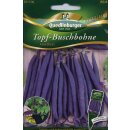 Topf-Buschbohne Amethyst