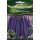 Topf-Buschbohne Amethyst