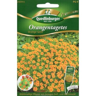 Orangentagetes, Orange Gem