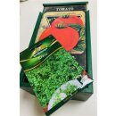 Saatgutbox Holz Tomate XL