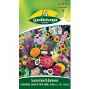 Sommerblumen - Schmücke Garten und Heim