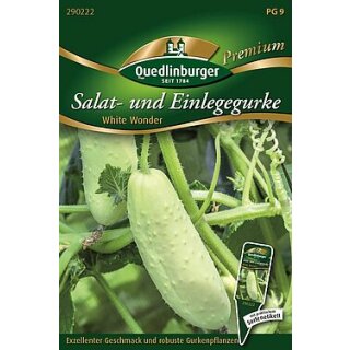 Salat- und Einlegegurke White Wonder