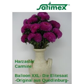 Harzaster Carmine XXL