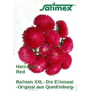 Harzaster Red XXL