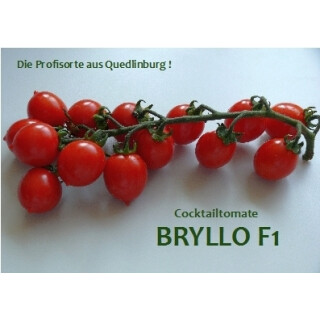 Cocktailtomate Bryllo F1