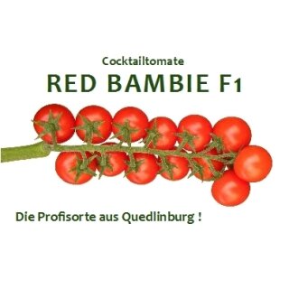 Cocktailtomate Red Bambie F1
