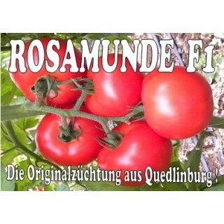 Fleischtomate Rosamunde F1