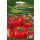 Tomatenpaprika Zsuzsanna