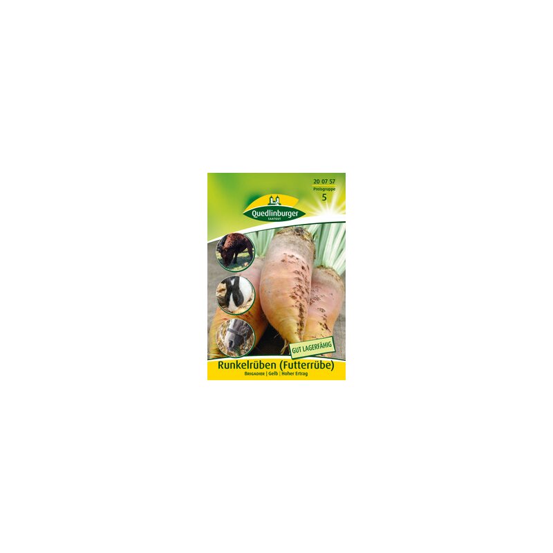 genfreies saatgut BIO Saatgut Wirsingkohl Vorbote 3  Biogartenladen