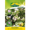 Perserklee GwP