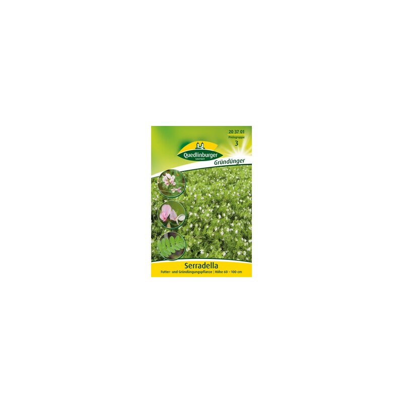 goldfruchtpalme künstlich Goldfruchtpalme (Dypsis lutescens) kaufen