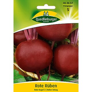 Rote Rübe Detroit 2 GwP