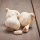 Pflanz-Knoblauch, Messidrome, 3 Stück