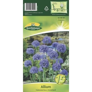 Allium Caeruleum Blau
