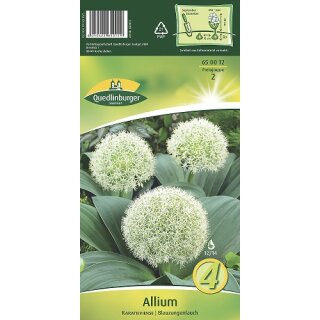 Allium Karatieviense