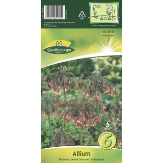 Allium Nectaroscordum Siculum