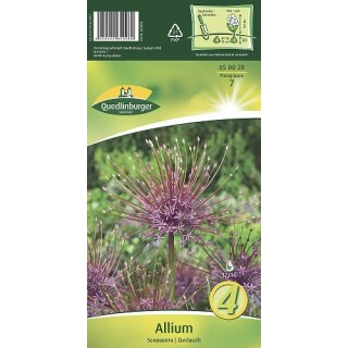 Allium Schubertii