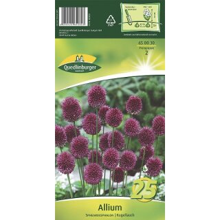 Allium Sphearocephalon