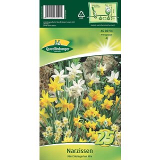 Narzissen Mini Steingarten Mix