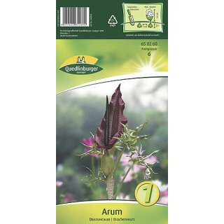 Arum Dracunculus