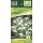 Galanthus Flore Pleno