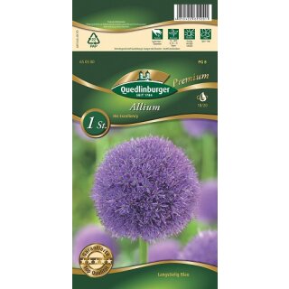 Allium His Excellency Blau