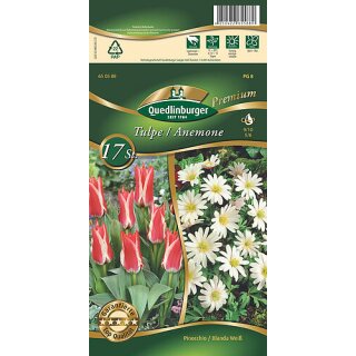 Combipack Tulpen Pinocchio+Anemone