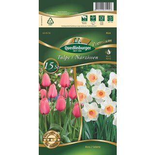 Combipack Tulpen+Narzissen