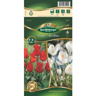 Combipack Tulpen+Krokusse