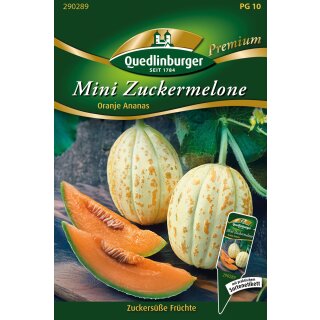 Mini-Zuckermelone Oranje Ananas