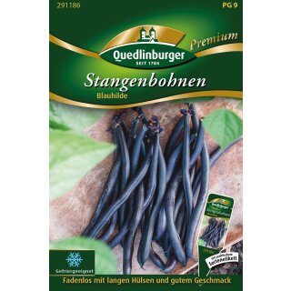 Stangenbohne Blauhilde