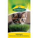 Katzengras