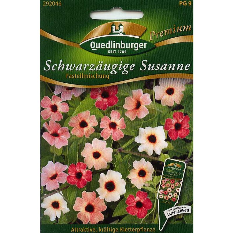 Schwarzugige Susanne Pastellmischung, 4,19